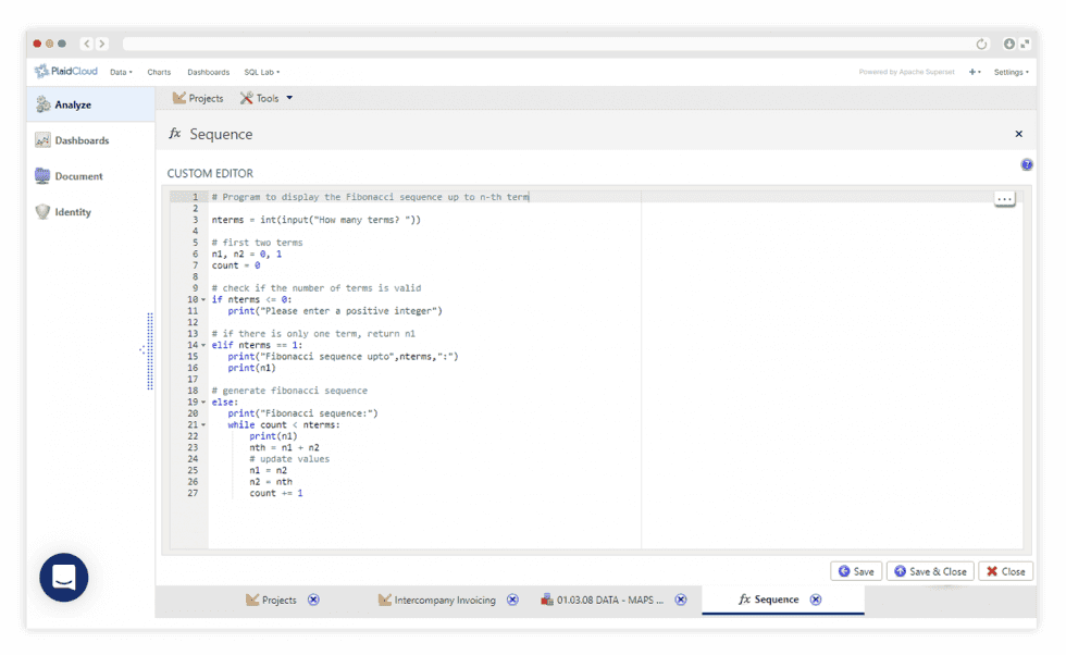 Data expression customization